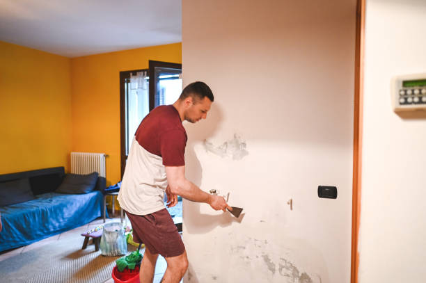 Best Attic Mold Removal  in Chama, NM